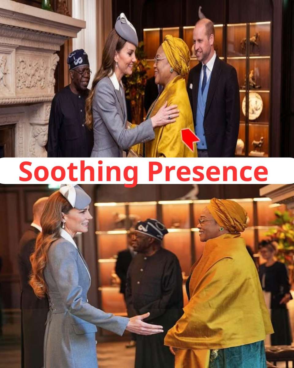 Princess Catherine's Soothing Presence Transforms Tense Moments into Warm Connections at State Visit!