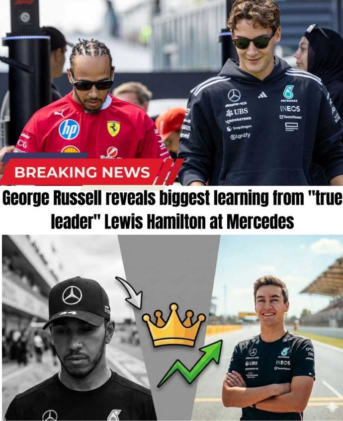 George Russell reveals biggest learning from "true leader" Lewis Hamilton at Mercedes